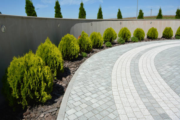 Best Interlocking Driveway Pavers  in Oshkosh, WI